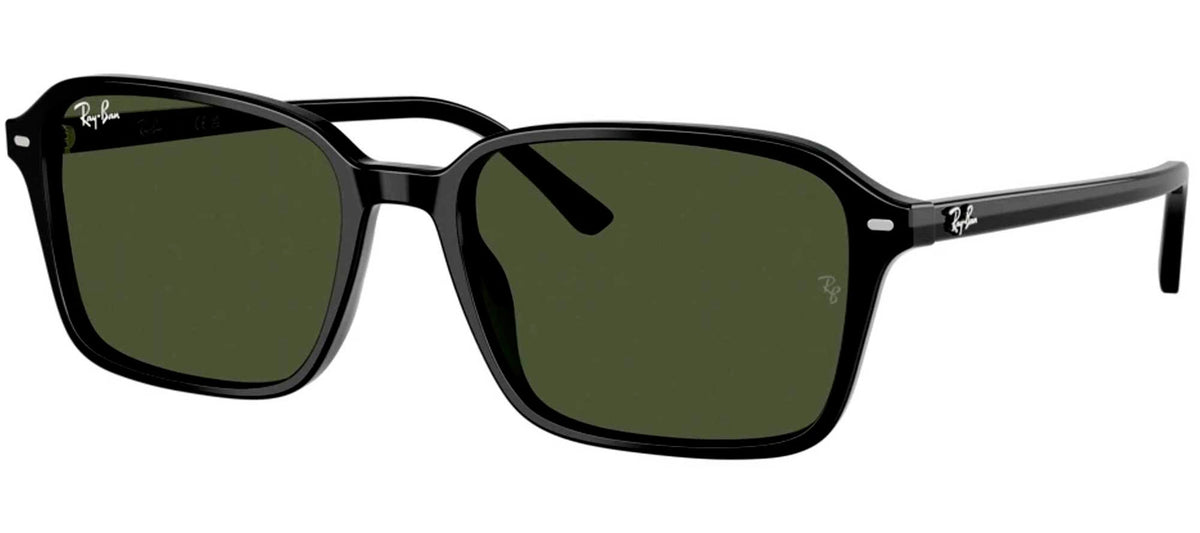 Ray-Ban Sun Collection RB2231 RAIMOND
