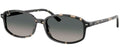 Ray-Ban Sun Collection RB2232