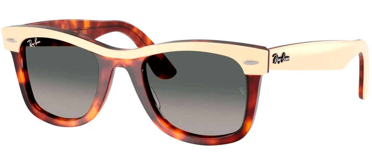 Ray-Ban Sun Collection RB2240  WAYFARER