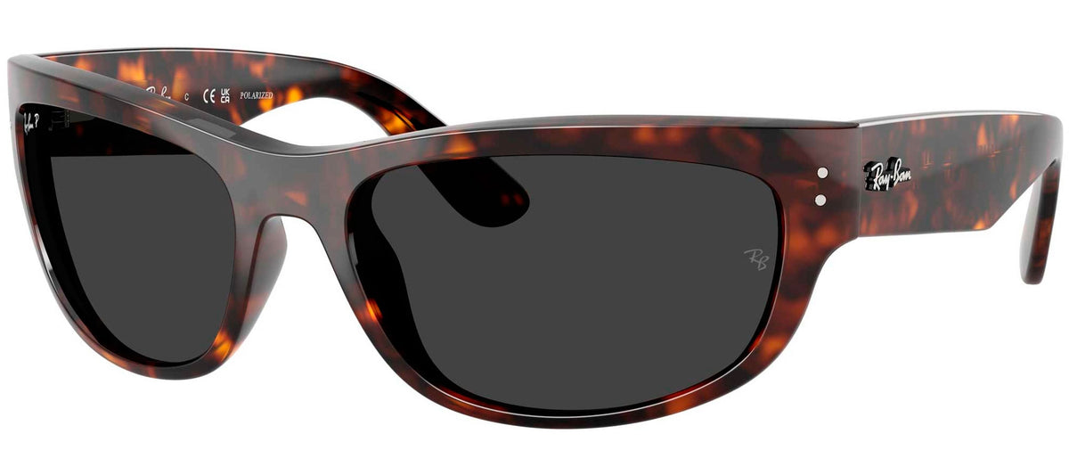 Ray-Ban Sun Collection RB2289 MEGA BALORAMA