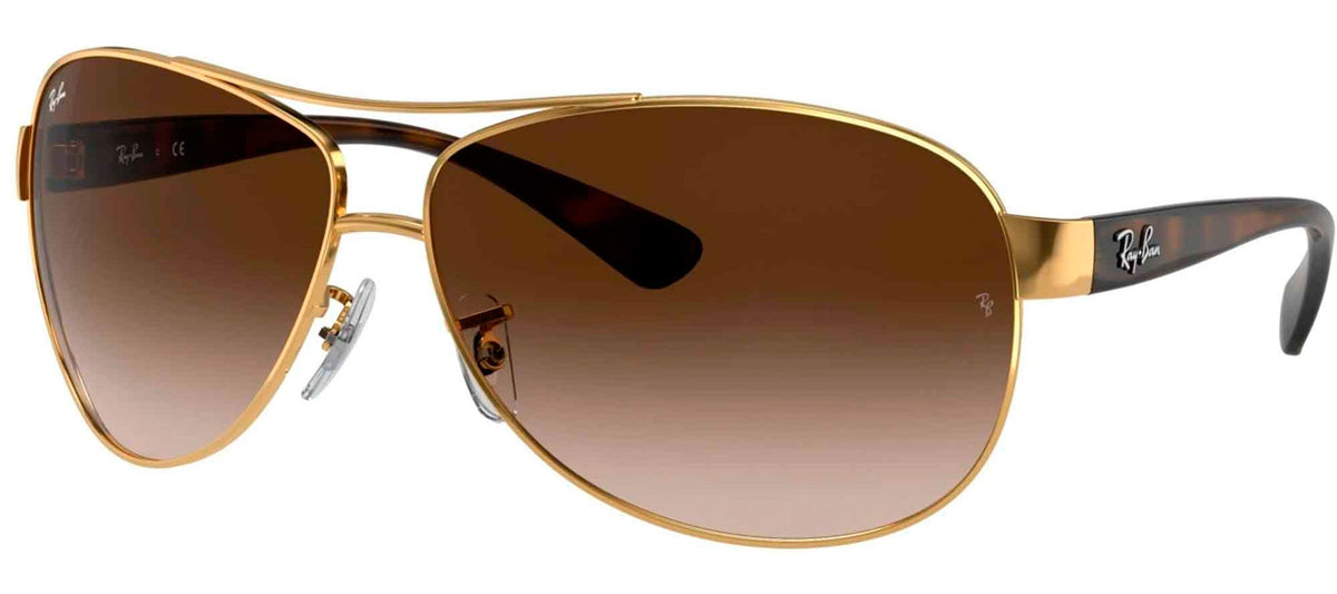 Ray-Ban Sun Collection RB3386