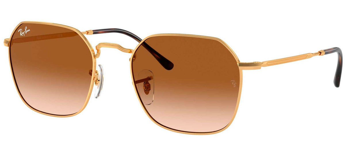 Ray-Ban Sun Collection RB3694 JIM