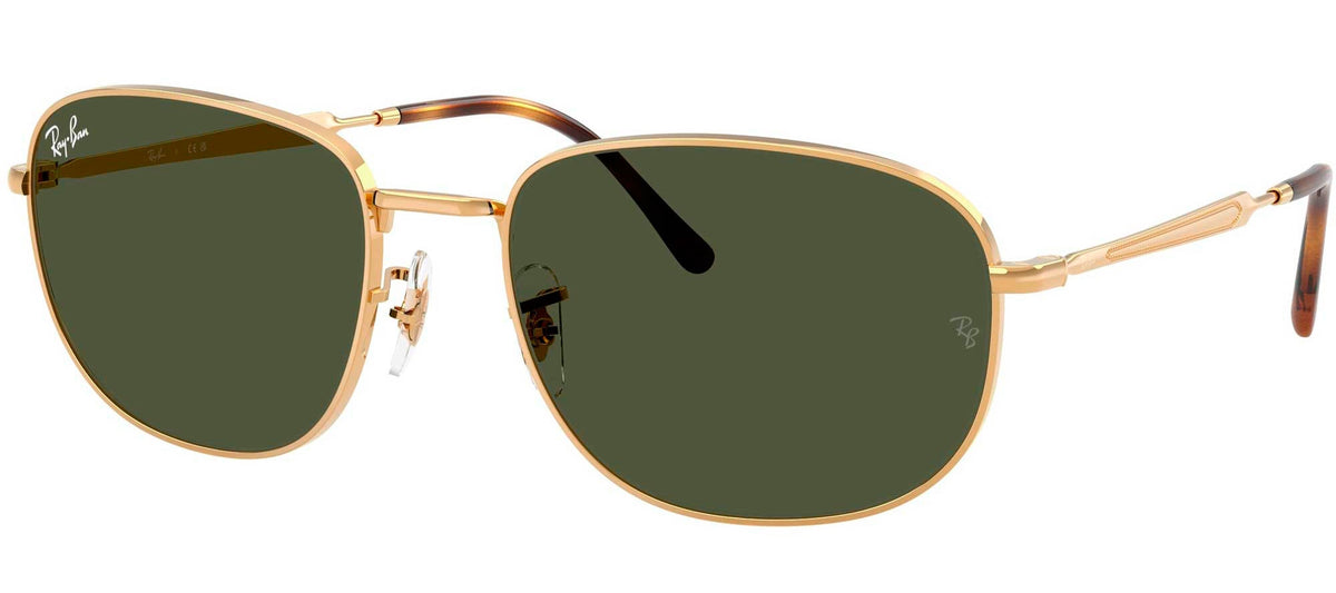 Ray-Ban Sun Collection RB3754