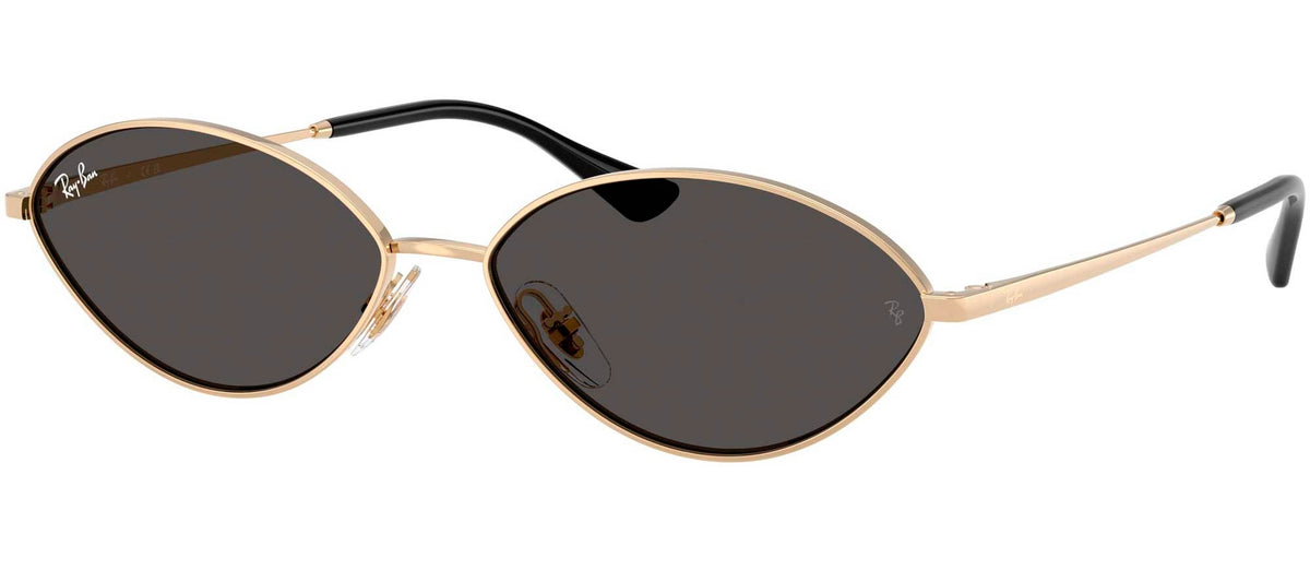 Ray-Ban Sun Collection RB3757 KAI