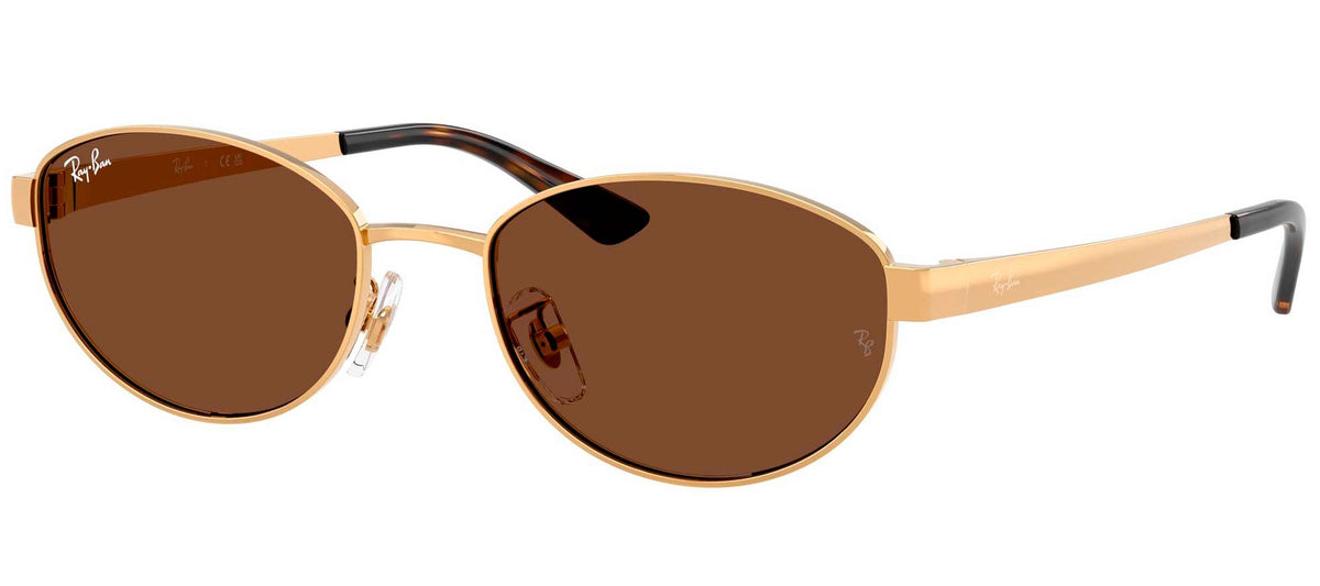 Ray-Ban Sun Collection RB3774D