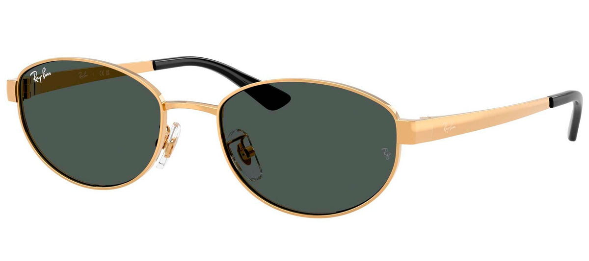 Ray-Ban Sun Collection RB3774D