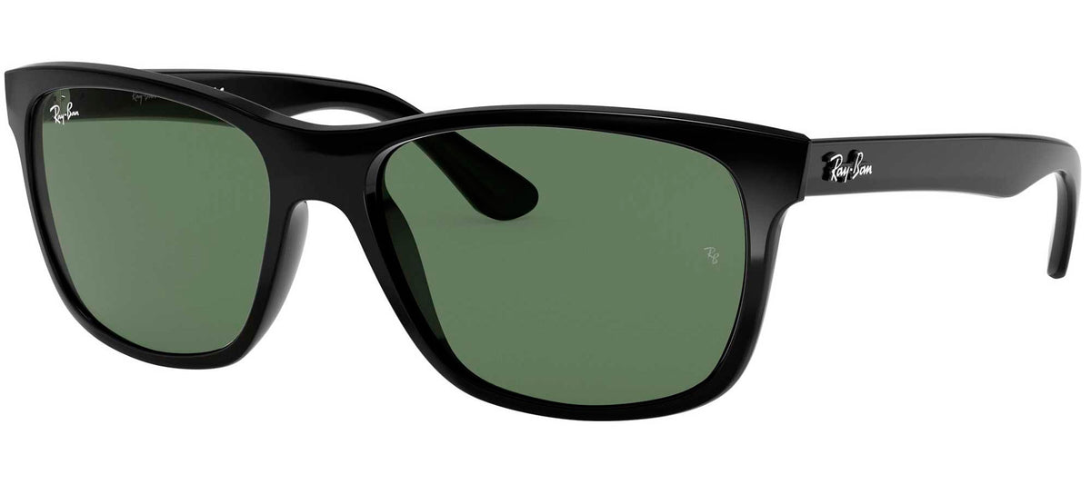 Ray-Ban Sun Collection RB4181