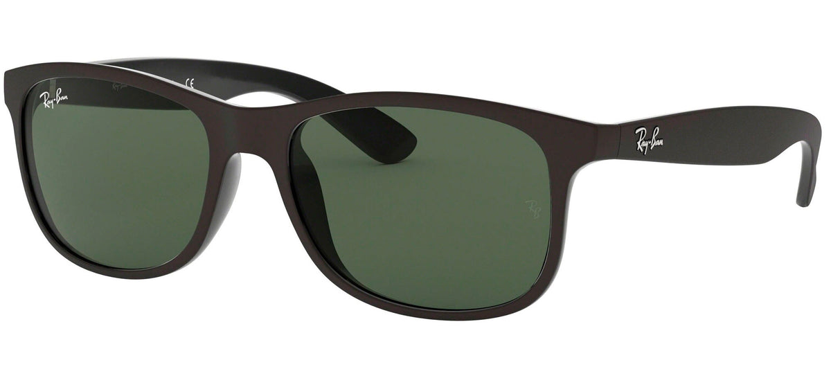 Ray-Ban Sun Collection RB4202 ANDY