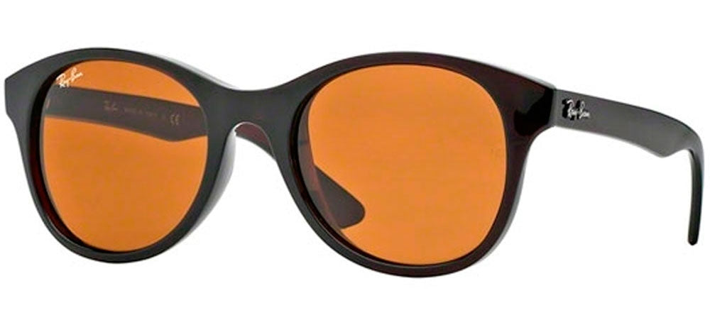 Ray-Ban Sun Collection RB4203