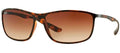 Ray-Ban Sun Collection RB4231