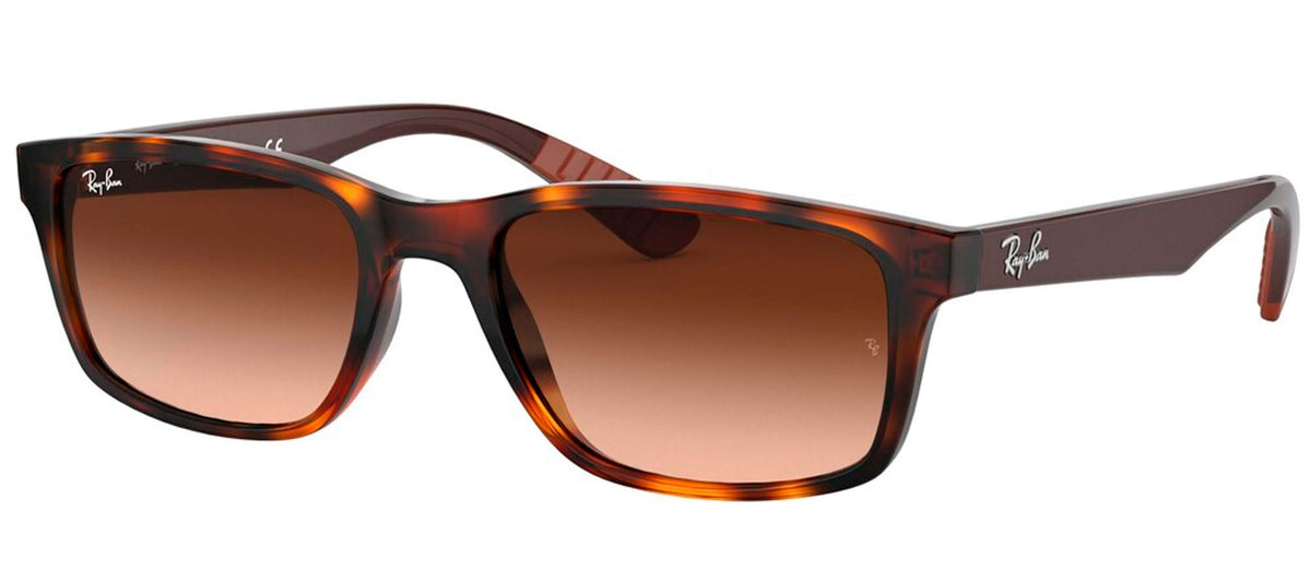 Ray-Ban Sun Collection RB4234