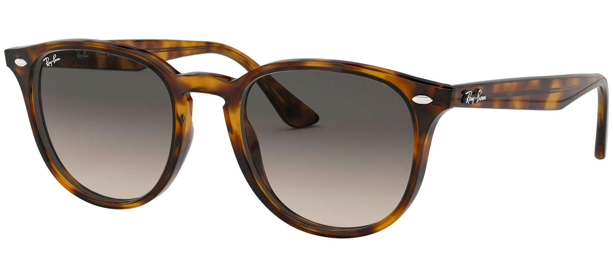 Ray-Ban Sun Collection RB4259