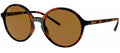Ray-Ban Sun Collection RB4304