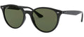 Ray-Ban Sun Collection RB4305