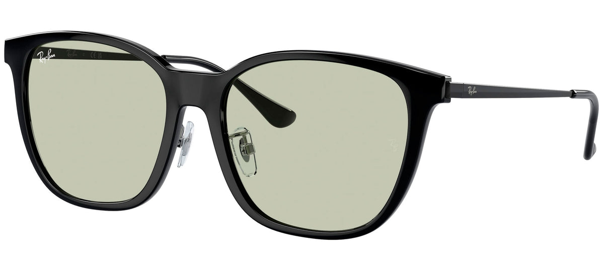 Ray-Ban Sun Collection RB4333D