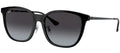 Ray-Ban Sun Collection RB4333D