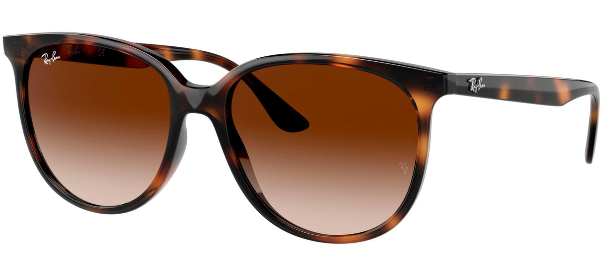Ray-Ban Sun Collection RB4378