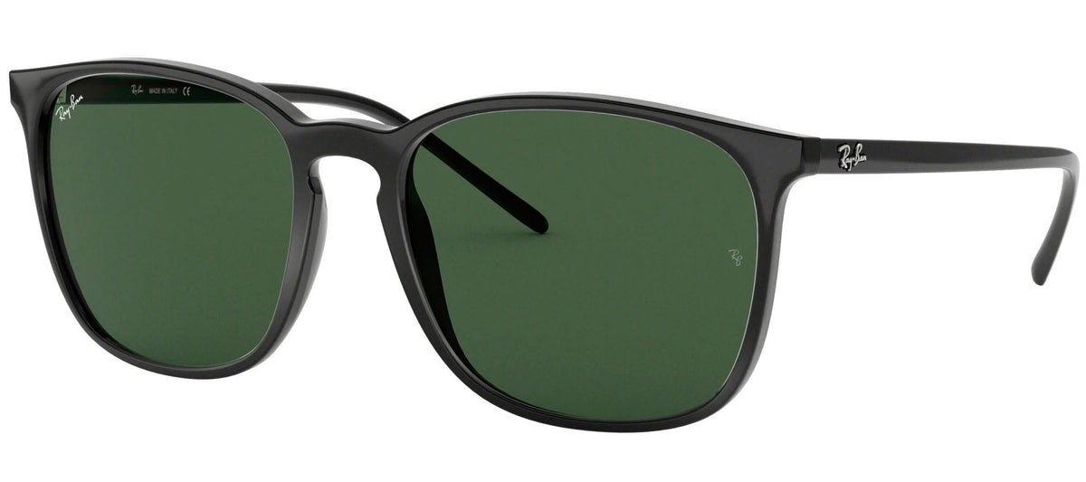 Ray-Ban Sun Collection RB4387