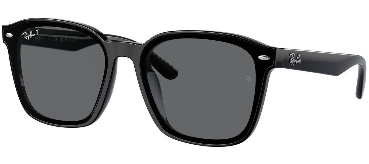 Ray-Ban Sun Collection RB4392D