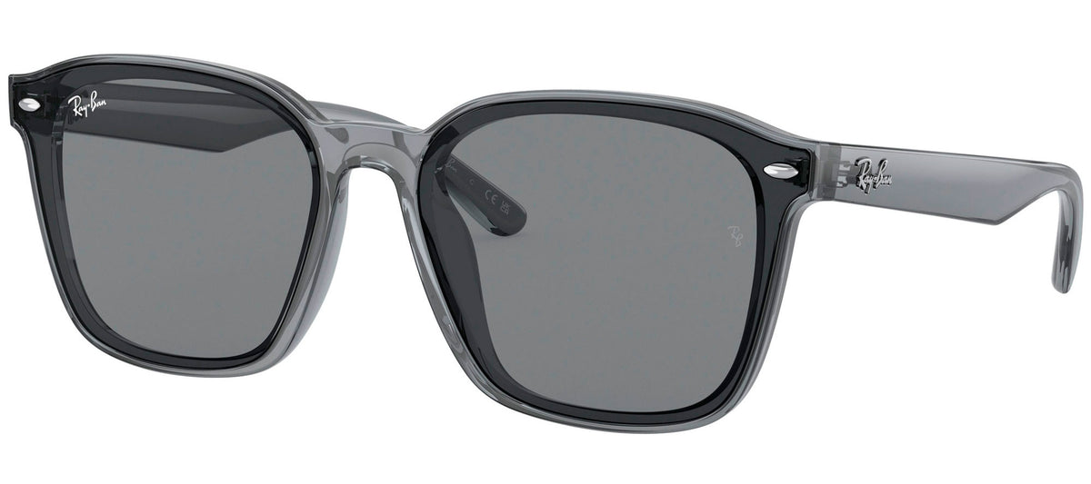 Ray-Ban Sun Collection RB4392D