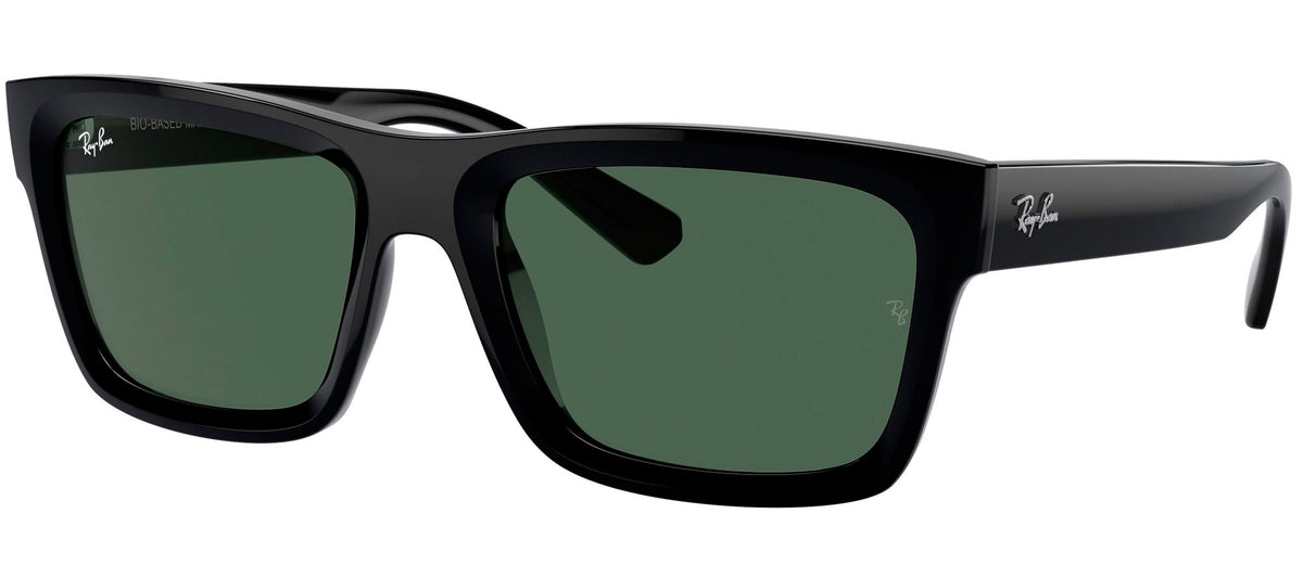 Ray-Ban Sun Collection RB4396 WARREN