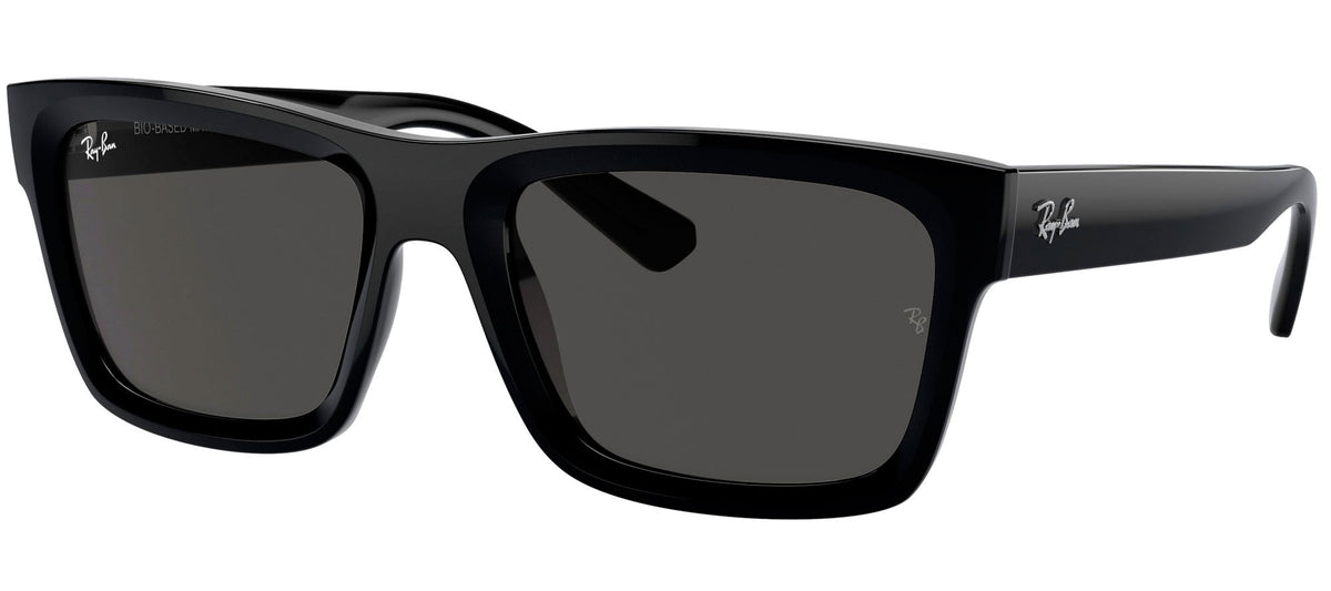 Ray-Ban Sun Collection RB4396 WARREN
