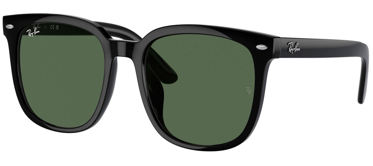 Ray-Ban Sun Collection RB4401D