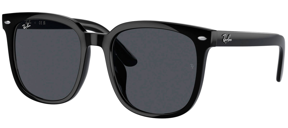 Ray-Ban Sun Collection RB4401D