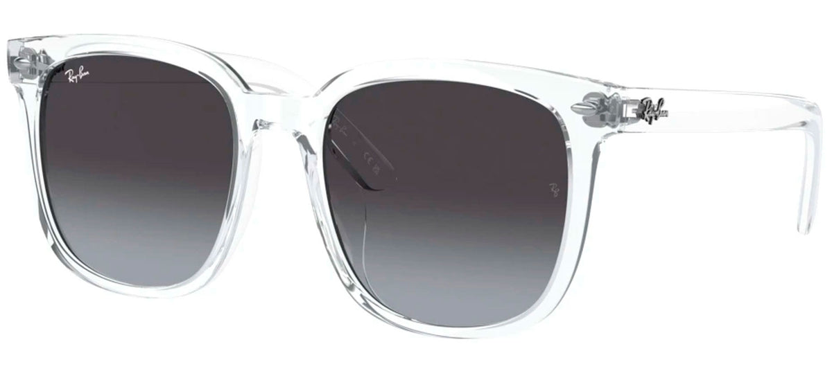 Ray-Ban Sun Collection RB4401D