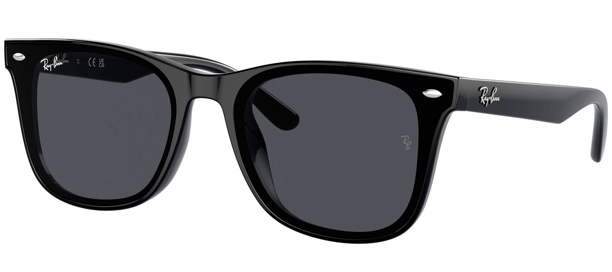 Ray-Ban Sun Collection RB4420