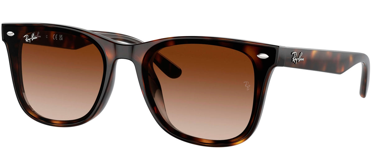 Ray-Ban Sun Collection RB4420