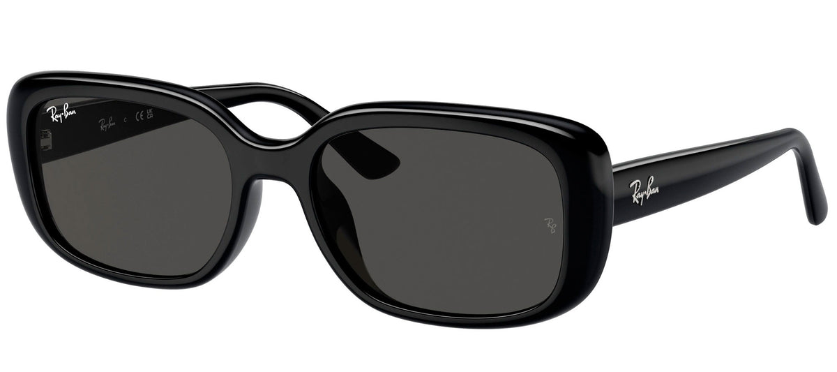 Ray-Ban Sun Collection RB4421D