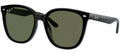 Ray-Ban Sun Collection RB4423D