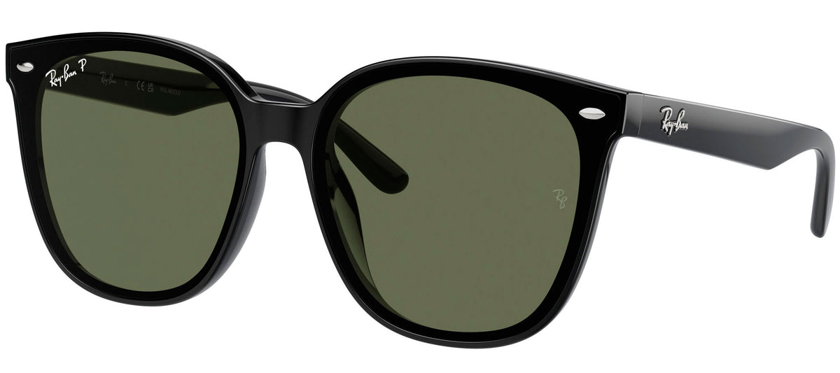 Ray-Ban Sun Collection RB4423D