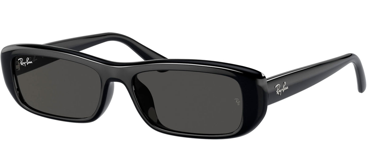 Ray-Ban Sun Collection RB4436D