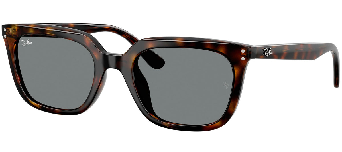 Ray-Ban Sun Collection RB4439D
