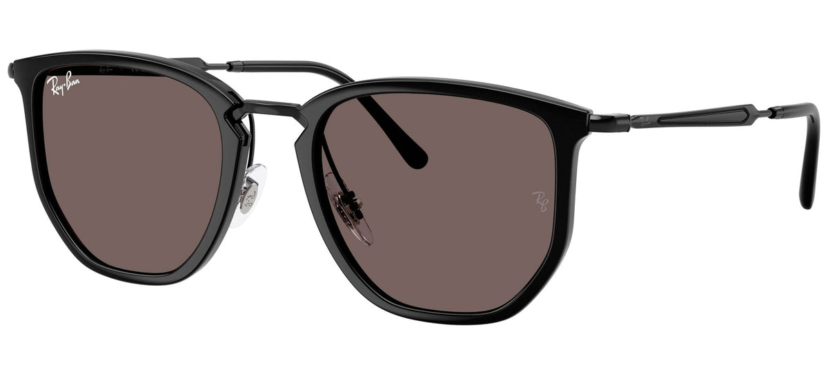 Ray-Ban Sun Collection RB4451