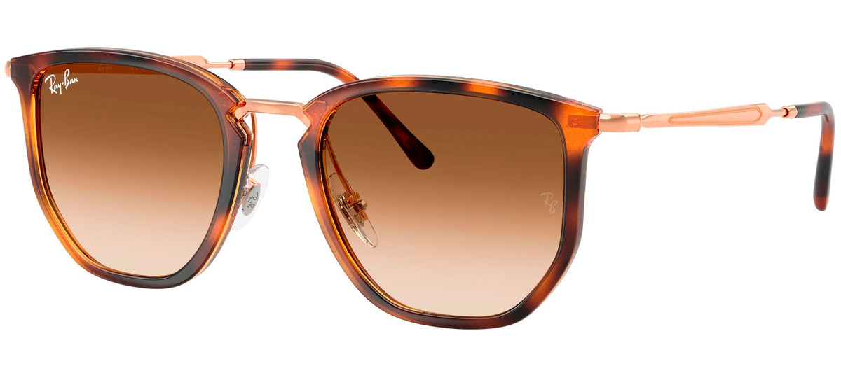Ray-Ban Sun Collection RB4451