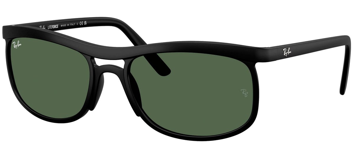 Ray-Ban Sun Collection RB4452