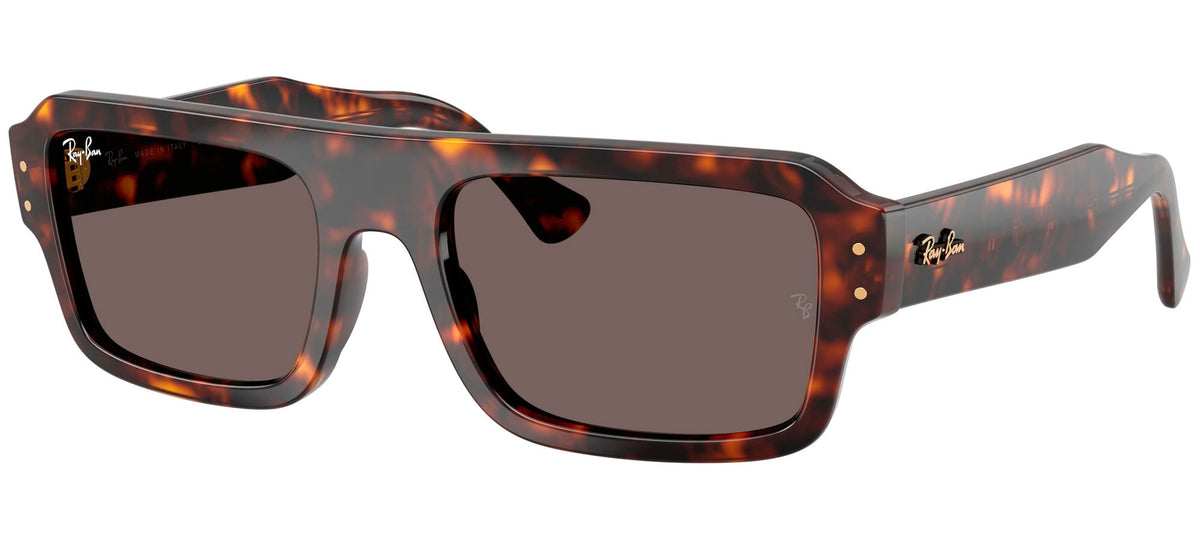 Ray-Ban Sun Collection RB4454
