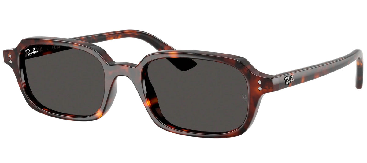 Ray-Ban Sun Collection RB4455 ZURI