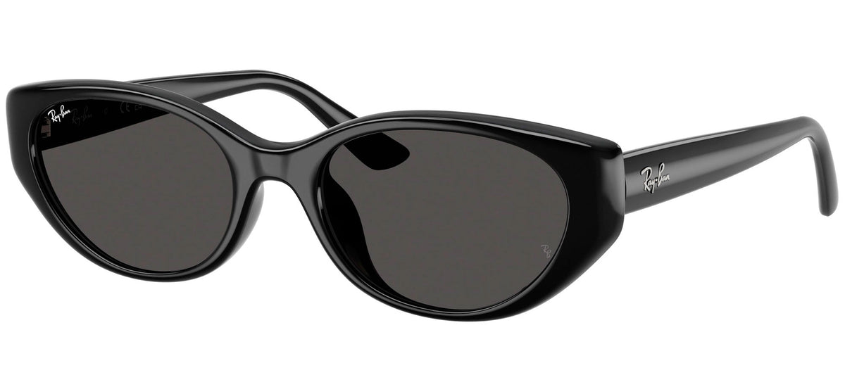 Ray-Ban Sun Collection RB4457D