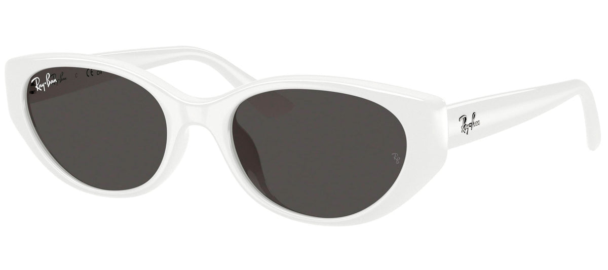 Ray-Ban Sun Collection RB4457D