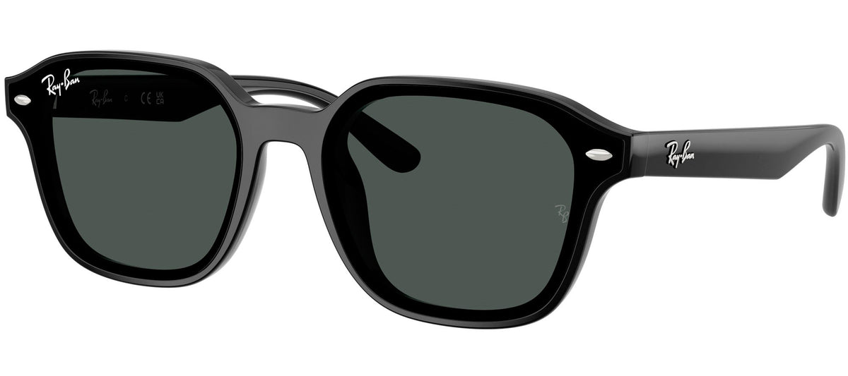 Ray-Ban Sun Collection RB4458D
