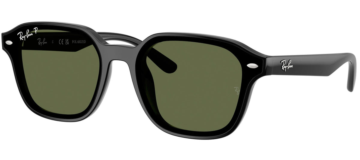 Ray-Ban Sun Collection RB4458D