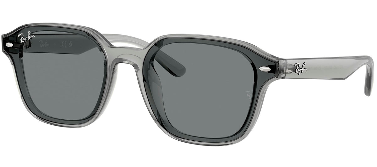 Ray-Ban Sun Collection RB4458D