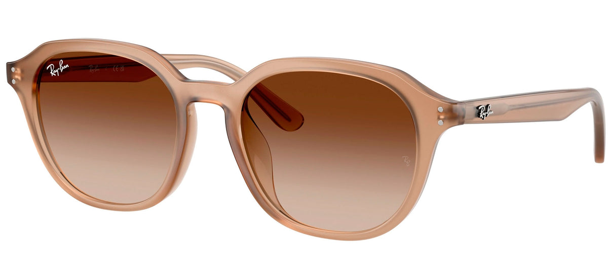 Ray-Ban Sun Collection RB4459D