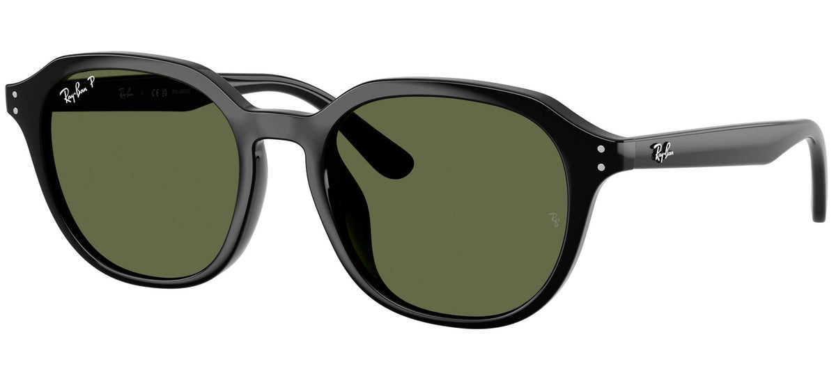 Ray-Ban Sun Collection RB4459D