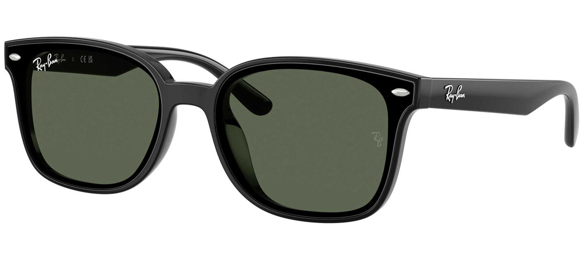 Ray-Ban RB4461D