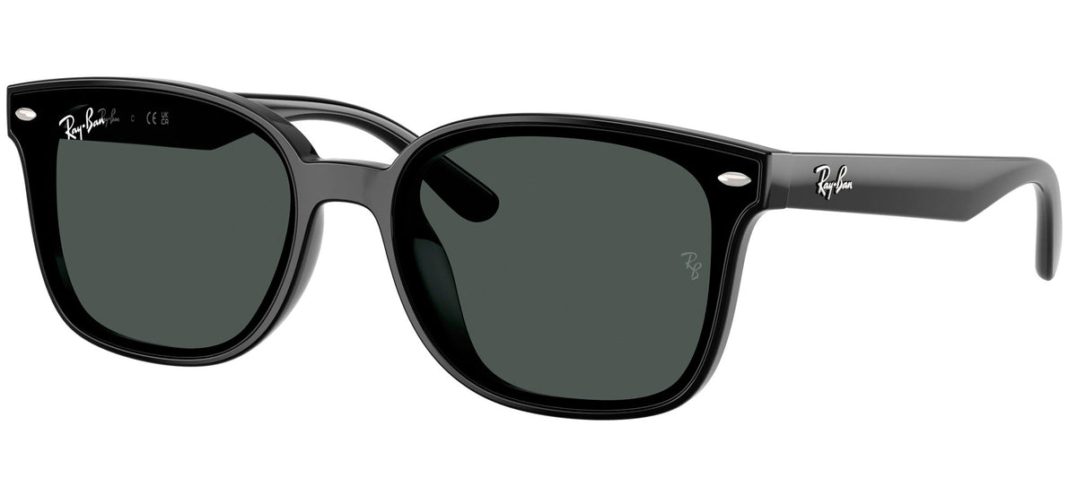 Ray-Ban Sun Collection RB4461D